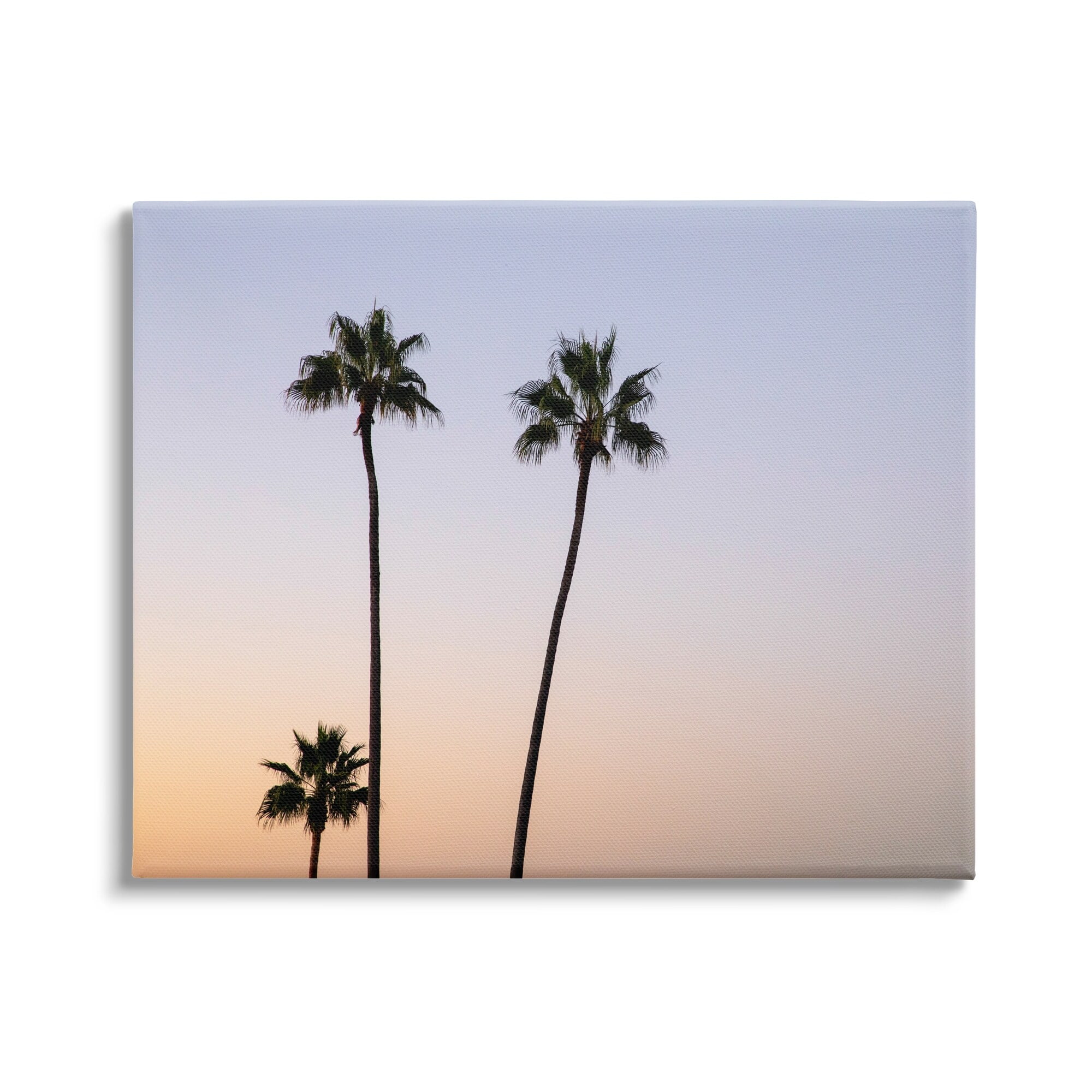 Stupell Industries Tropical Tall Palm Trees Sunrise Sunset Photography Coastal Photography Gallery-Wrapped Canvas Print Wall Art, 20 x 16, Design by Kathy Mansfield