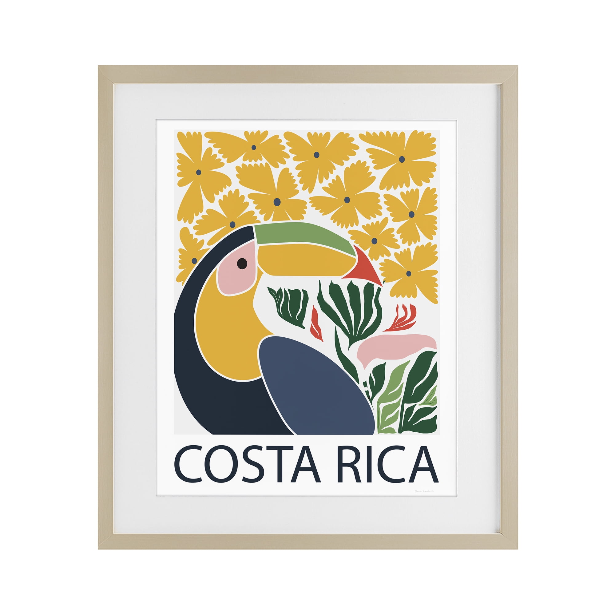 Stupell Industries Tropical Toucan & Flowers Birch Framed Print Under Glass, design by Omar Escalante