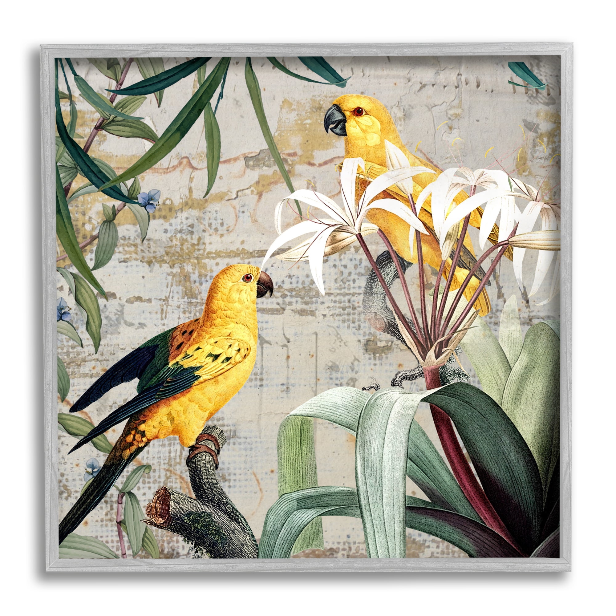 Stupell Industries Tropical Yellow Birds Collage Animals & Insects Painting Gray Framed Art Print Wall Art, 24 x 24