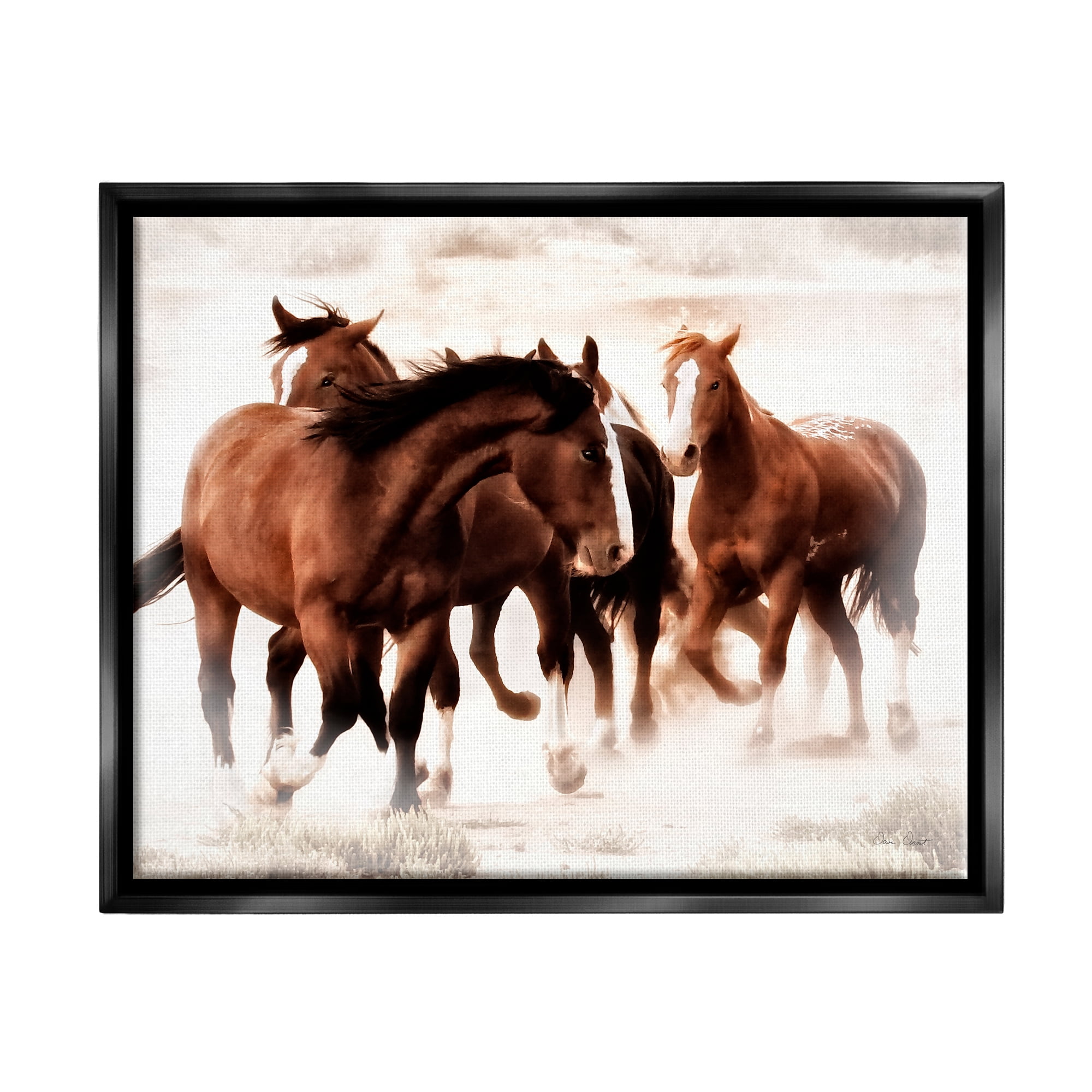 Stupell Industries Trotting Brown Horses Animals & Insects Photography Black Floater Framed Art Print Wall Art, 31 x 25