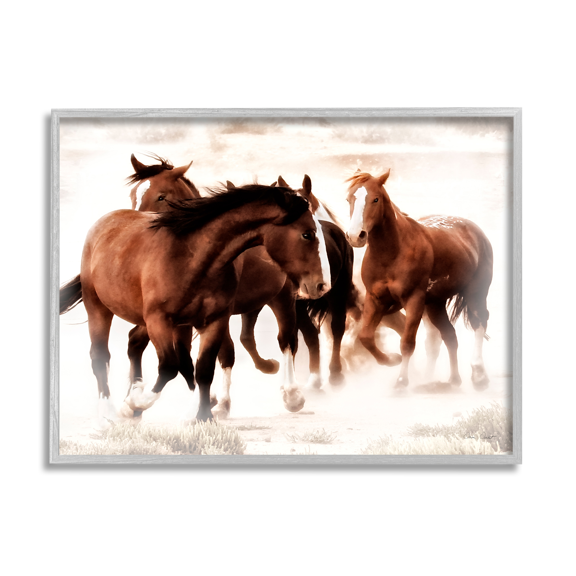 Stupell Industries Trotting Brown Horses Animals & Insects Photography Gray Framed Art Print Wall Art, 14 x 11