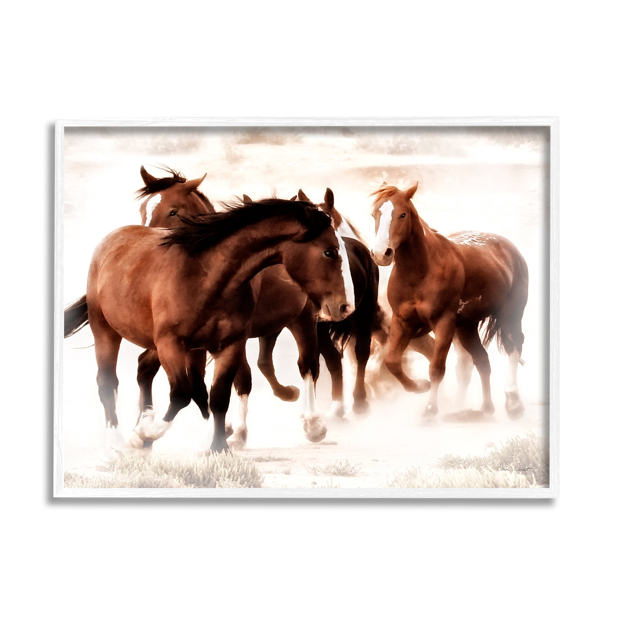 Stupell Industries Trotting Brown Horses Animals & Insects Photography White Framed Art Print Wall Art, 20 x 16