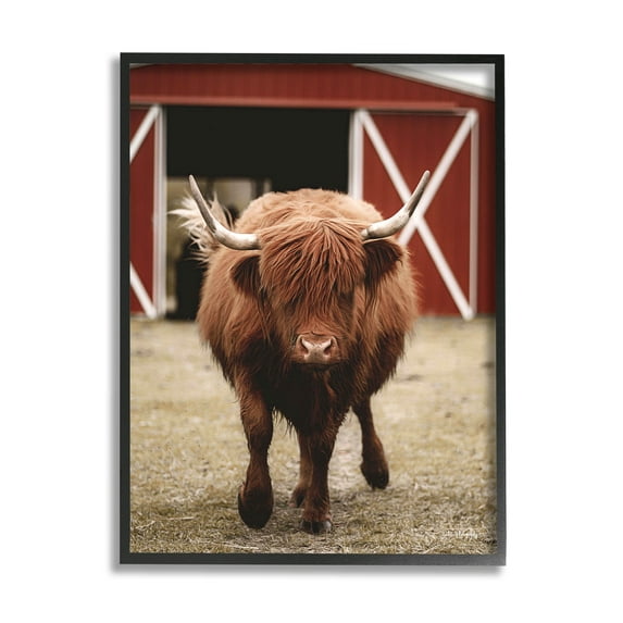 Stupell Industries Trotting Highland Cattle Bold Red Barn Photograph Black Framed Art Print Wall Art, Design by Dakota Diener