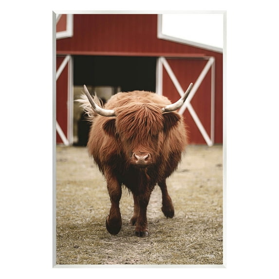 Stupell Industries Trotting Highland Cattle Bold Red Barn Photograph Unframed Art Print Wall Art, Design by Dakota Diener