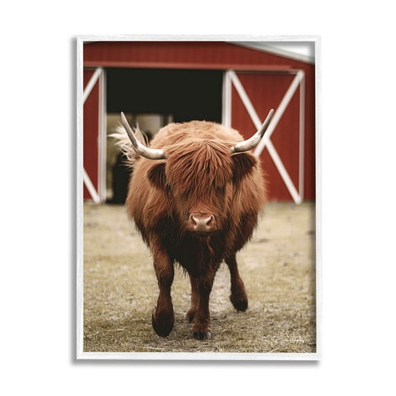 Stupell Industries Trotting Highland Cattle Bold Red Barn Photograph White Framed Art Print Wall Art, Design by Dakota Diener