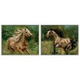 thumbnail image 1 of Stupell Industries Trotting Horse Visages Animals Painting Gray Framed Art Print Wall Art, 14 x 11, Set of 2, 1 of 2