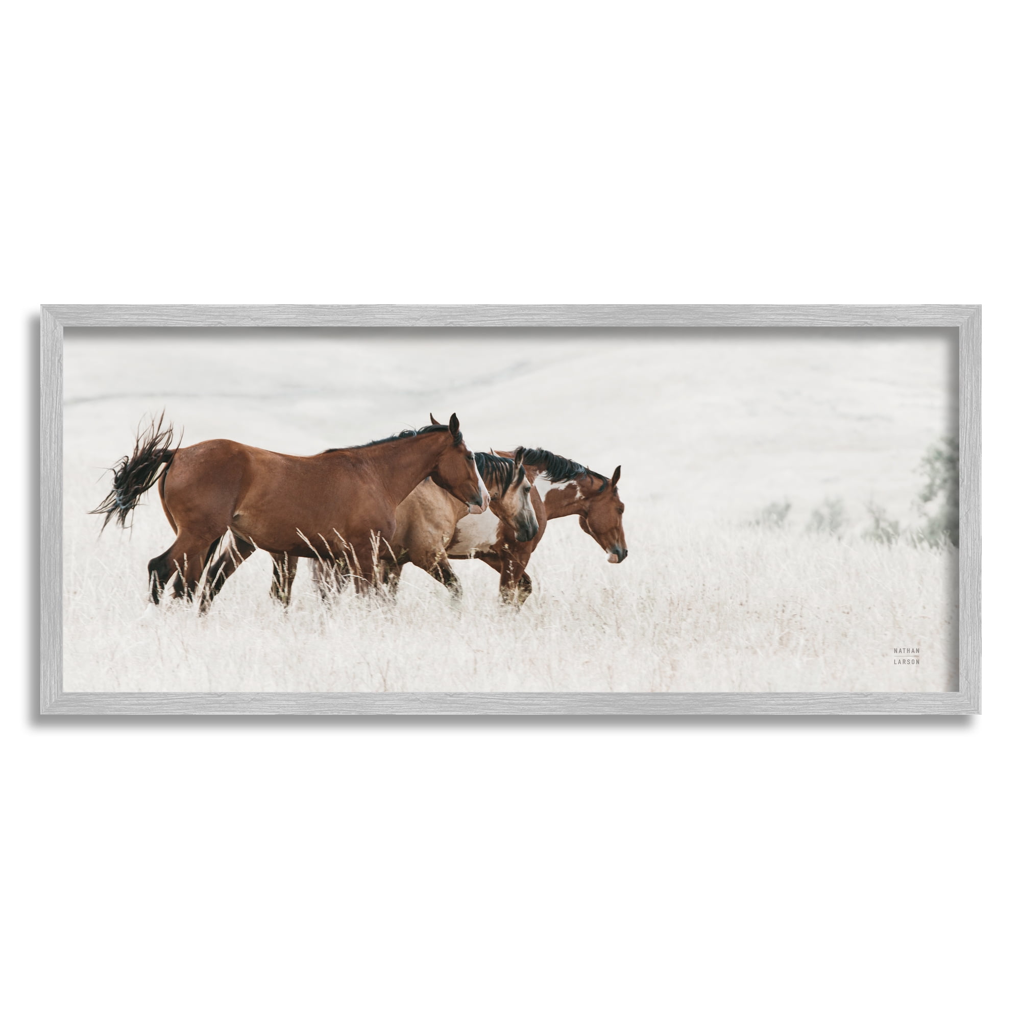 Stupell Industries Trotting Horses Landscape Animals & Insects Photography Gray Framed Art Print Wall Art, 24 x 10