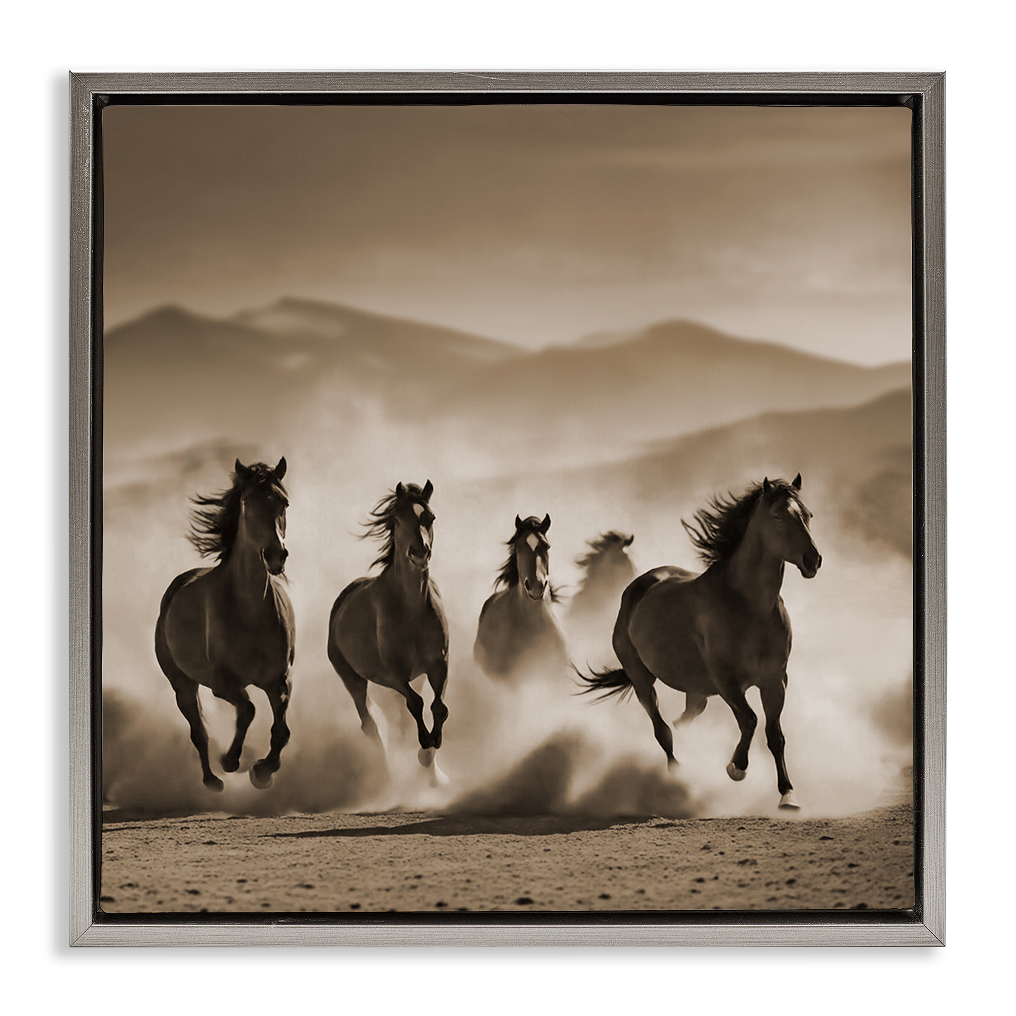Stupell Industries Trotting Mountain Stallions Animals Painting Gray Floater Framed Canvas Art Print Wall Art, 25 x 25