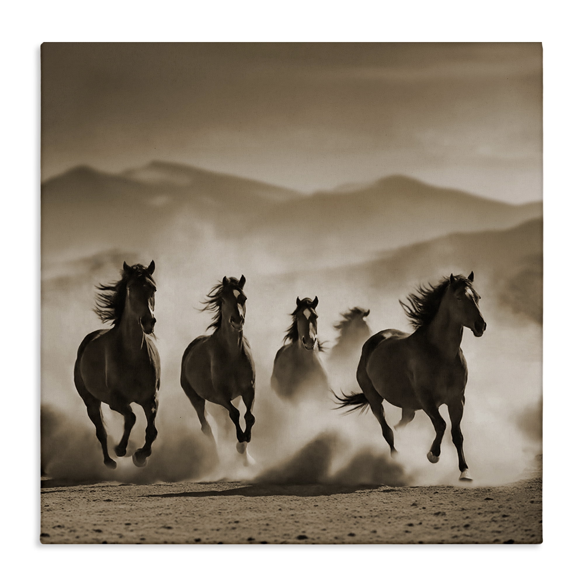 Stupell Industries Trotting Mountain Stallions Animals Painting Wrapped Canvas Art Print Wall Art, 36 x 36