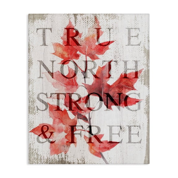 Stupell Industries True North Strong & Free Canvas Wall Art design by Lil' Rue, 40 x 30