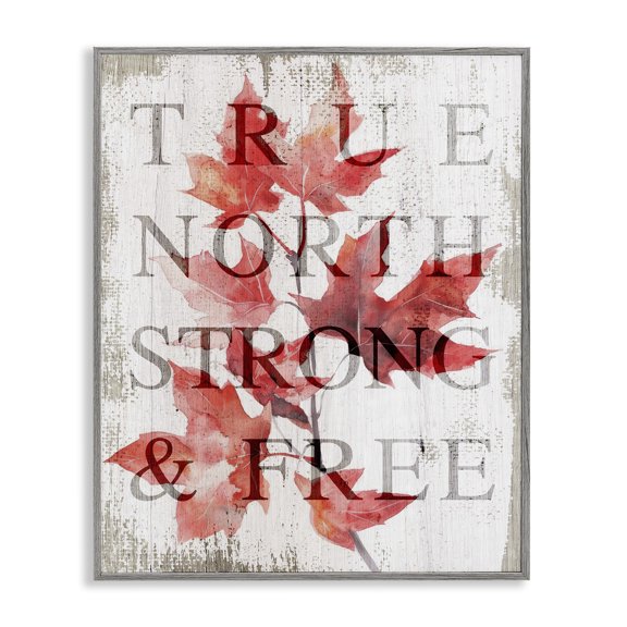 Stupell Industries True North Strong & Free Gray Framed Giclee Art design by Lil' Rue, 20 x 16