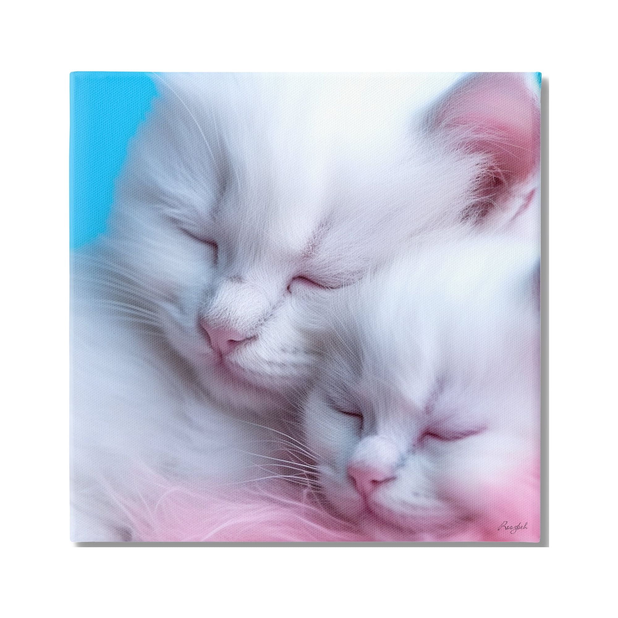 Stupell Industries Tucked In White Cats Animals & Insects Painting Gallery Wrapped Canvas Art Print Wall Art, 17 x 17