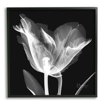 Stupell Industries Tulip Flower X-Ray Botanical & Floral Photography Black Framed Art Print Wall Art, 12 x 12