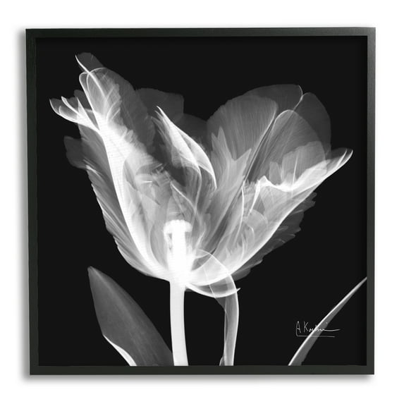 Stupell Industries Tulip Flower X-Ray Botanical & Floral Photography Black Framed Art Print Wall Art, 17 x 17