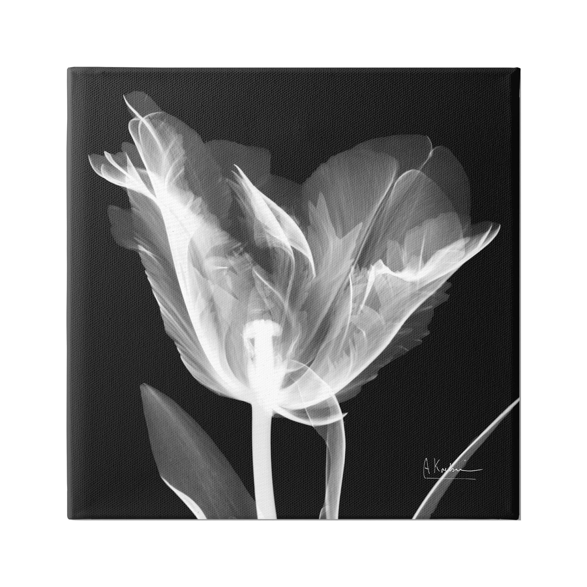 30" Black and White Tulip X-Ray Canvas Wall Art