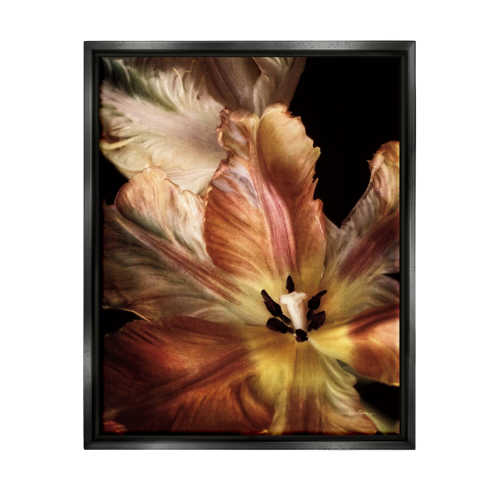 Stupell Industries Tulip Petals Detail Botanical & Floral Photography Black Floater Framed Art Print Wall Art, 25 x 31
