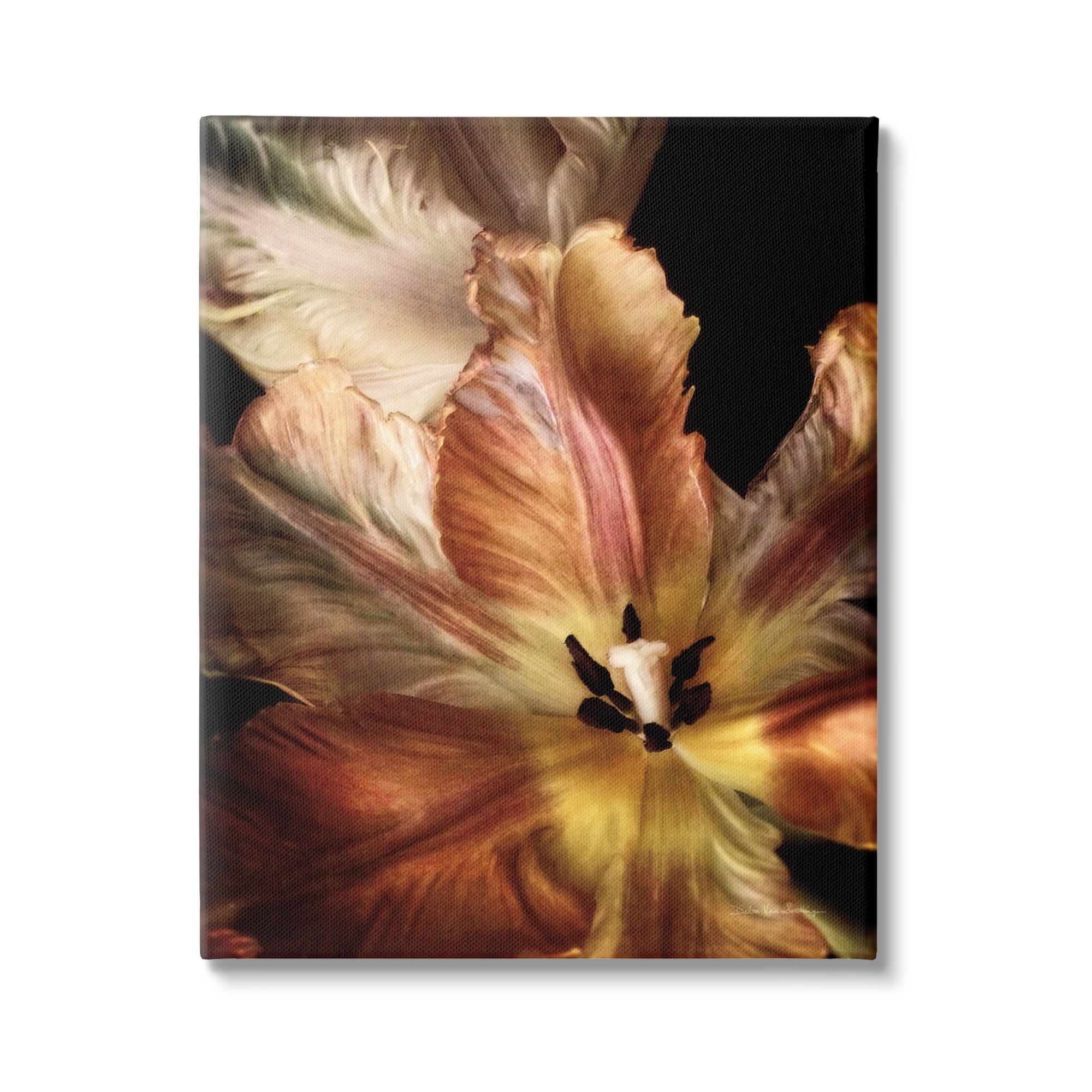 Stupell Industries Tulip Petals Detail Botanical & Floral Photography Gallery Wrapped Canvas Print Wall Art, 30 x 40