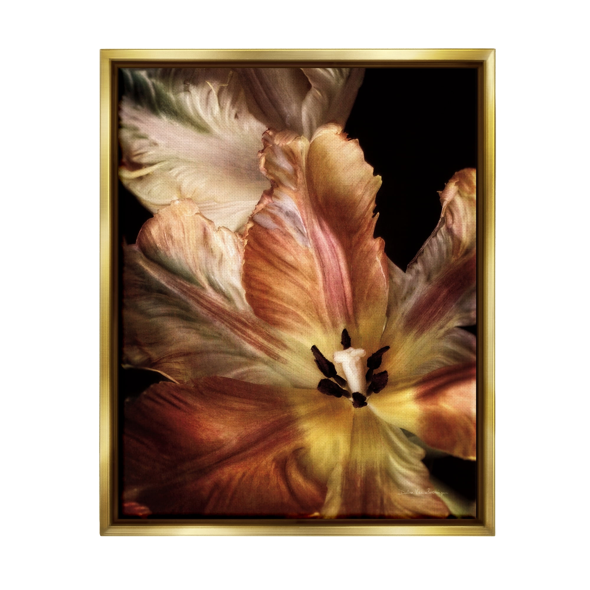 Stupell Industries Tulip Petals Detail Botanical & Floral Photography Gold Floater Framed Art Print Wall Art, 17 x 21