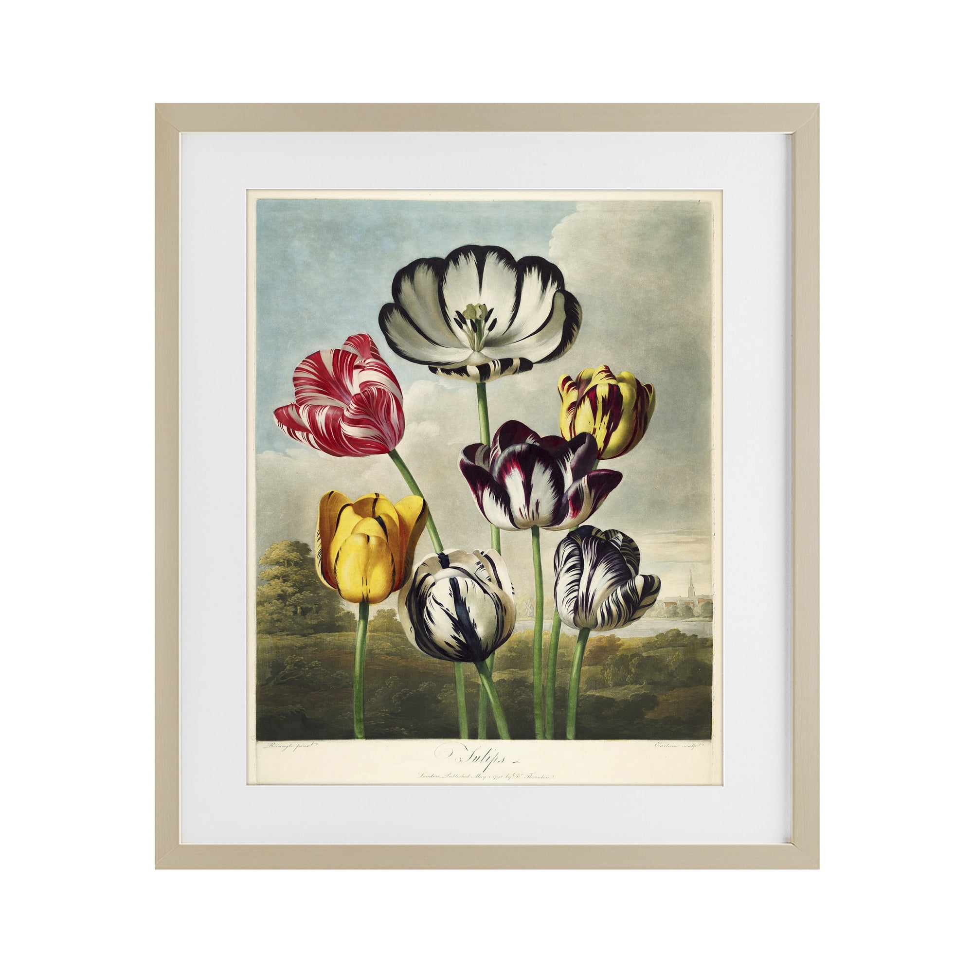 Stupell Industries Tulips From The Temple Birch Framed Print Under Glass, design by Print Collection