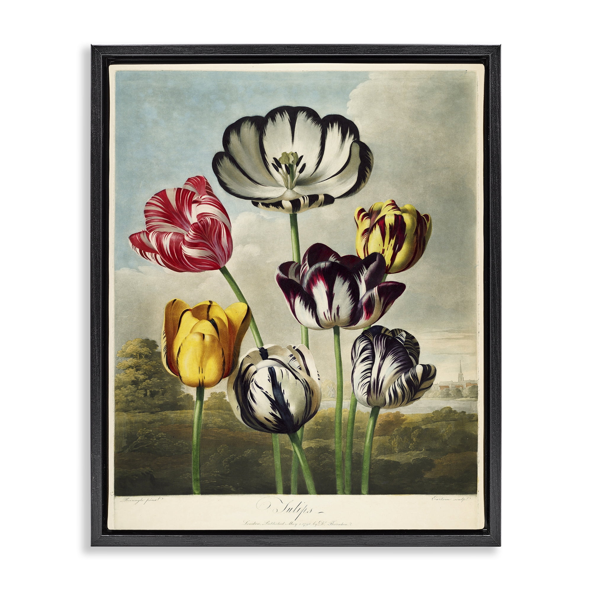 Stupell Industries Tulips From The Temple Black Framed Floater Canvas Wall Art, design by Print Collection