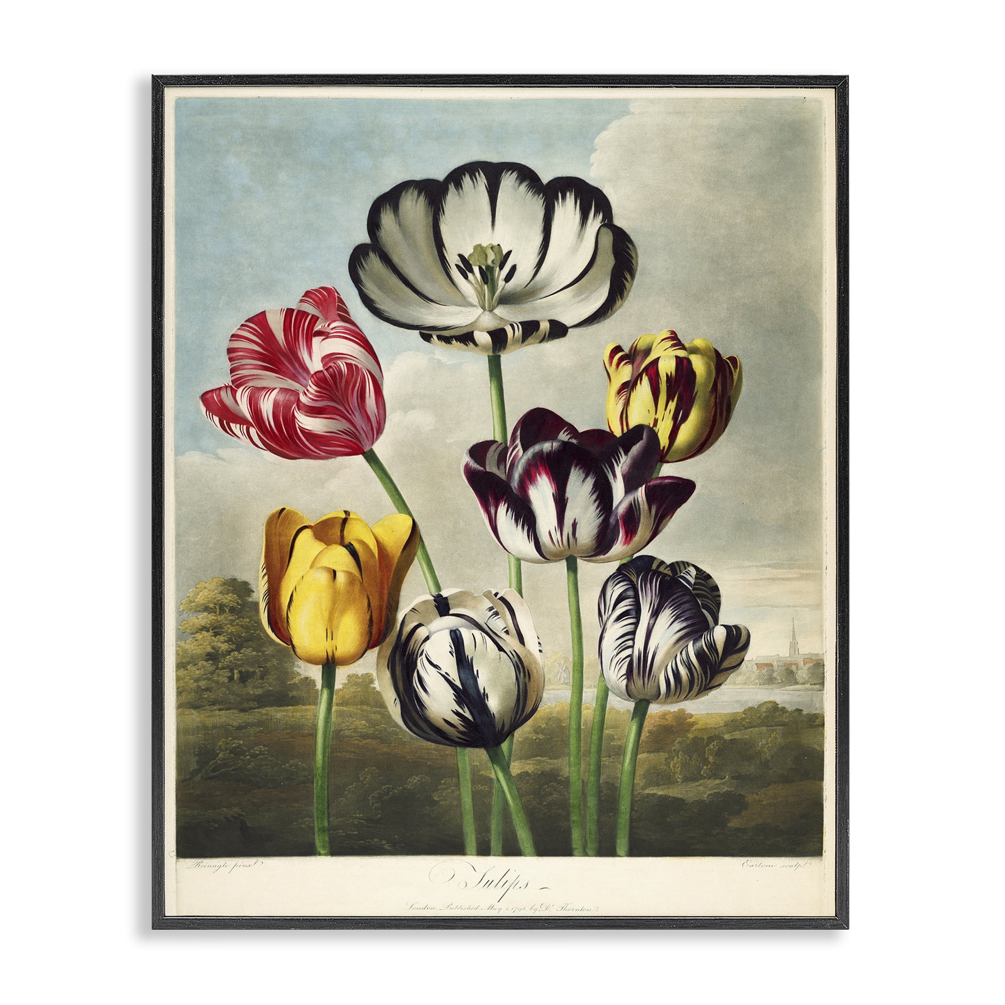 Stupell Industries Tulips From The Temple Black Framed Giclee Art, design by Print Collection