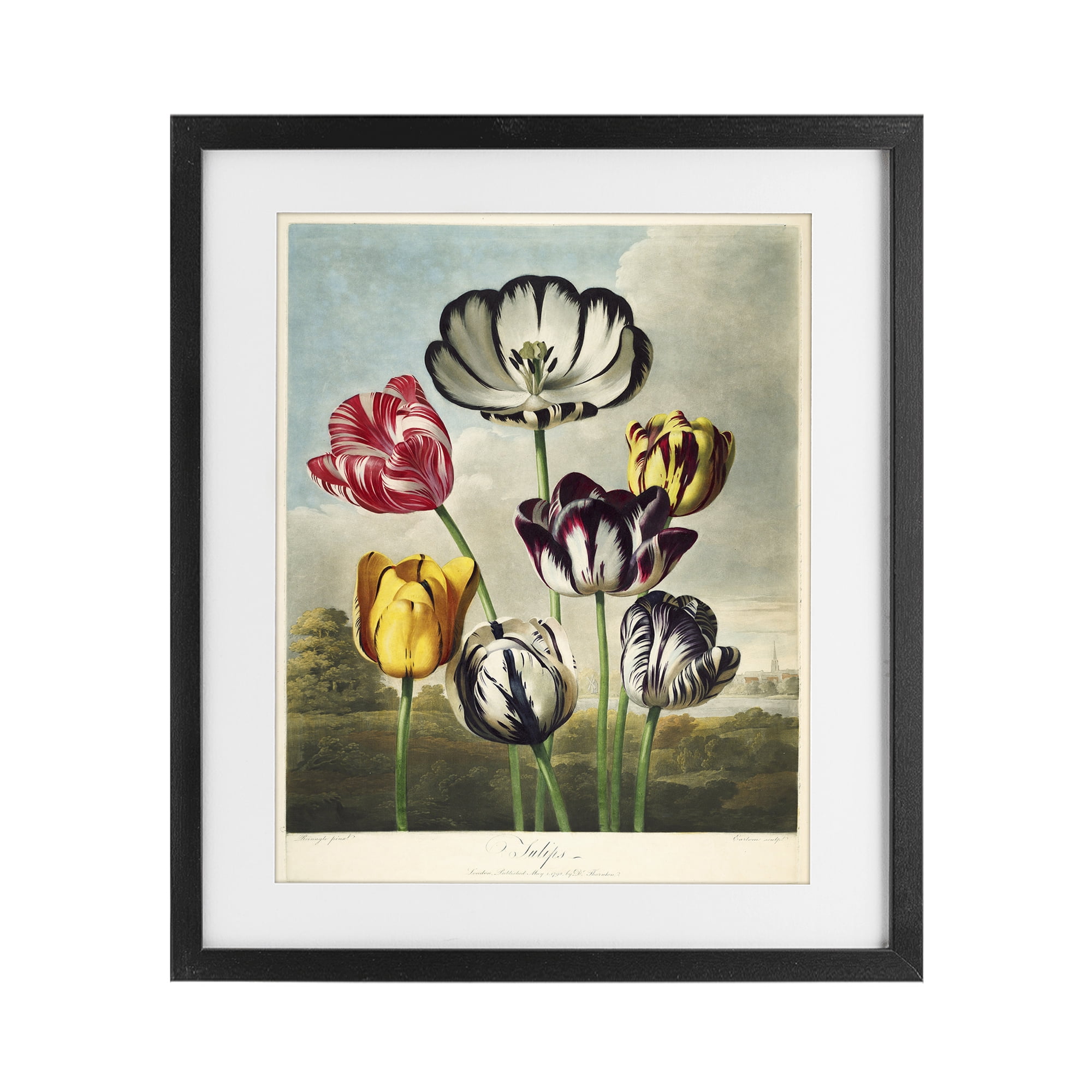 Stupell Industries Tulips From The Temple Black Framed Print Under Glass, design by Print Collection