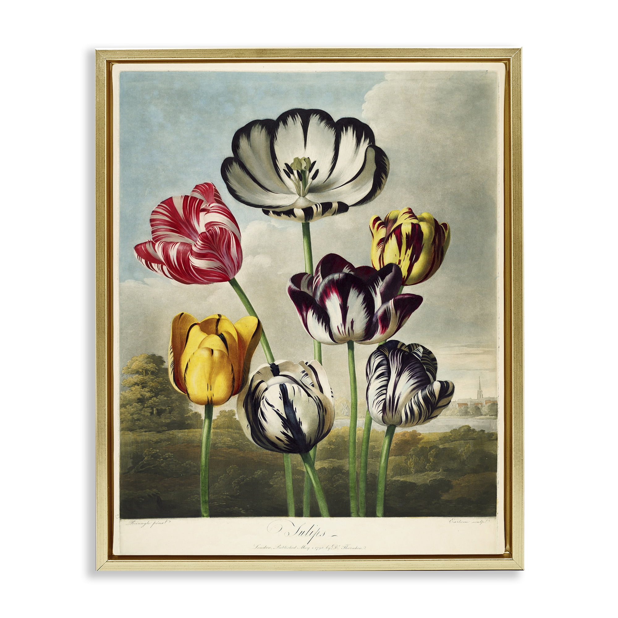 Stupell Industries Tulips From The Temple Gold Framed Floater Canvas Wall Art, design by Print Collection