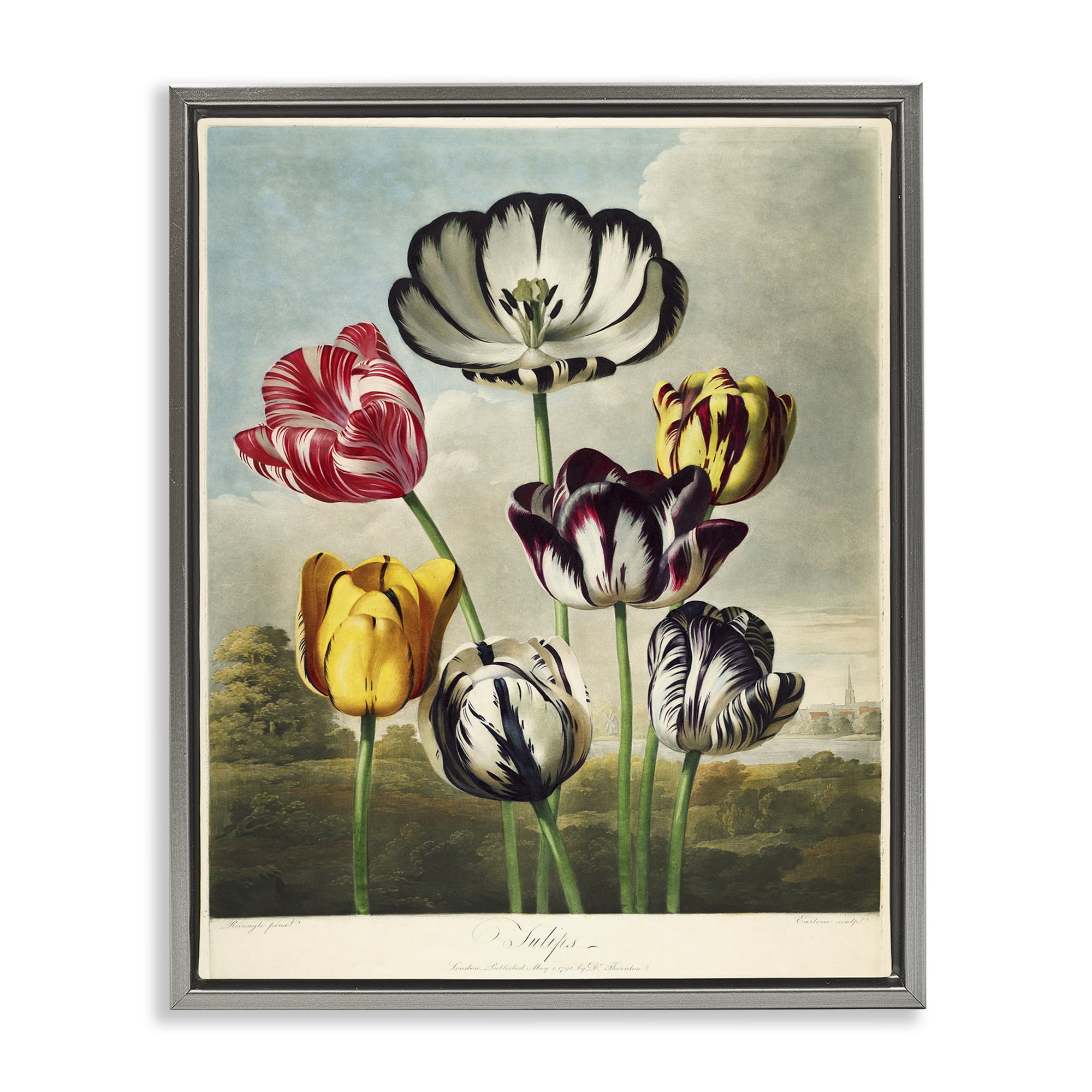 Stupell Industries Tulips From The Temple Gray Framed Floater Canvas Wall Art, design by Print Collection