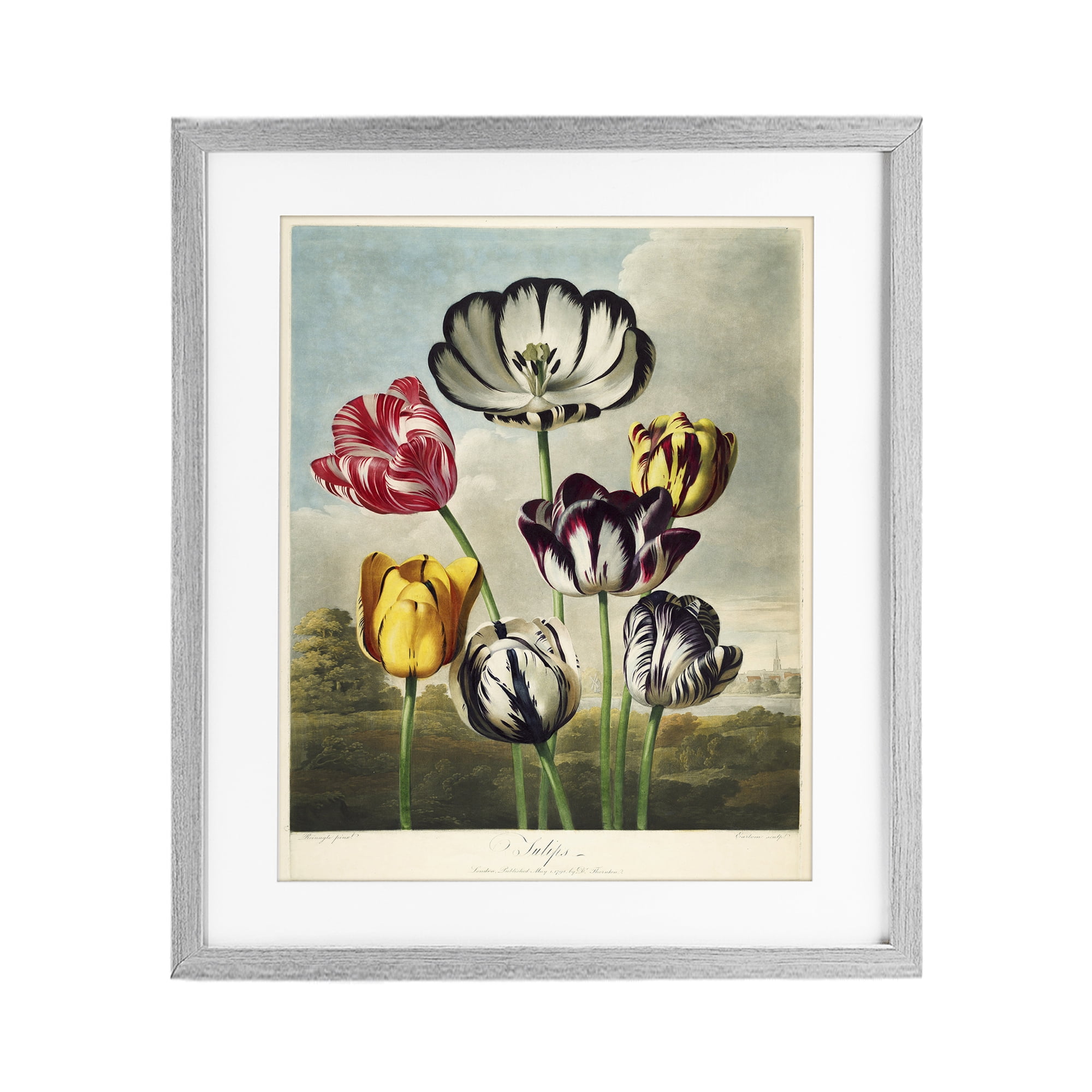 Stupell Industries Tulips From The Temple Gray Framed Print Under Glass, design by Print Collection