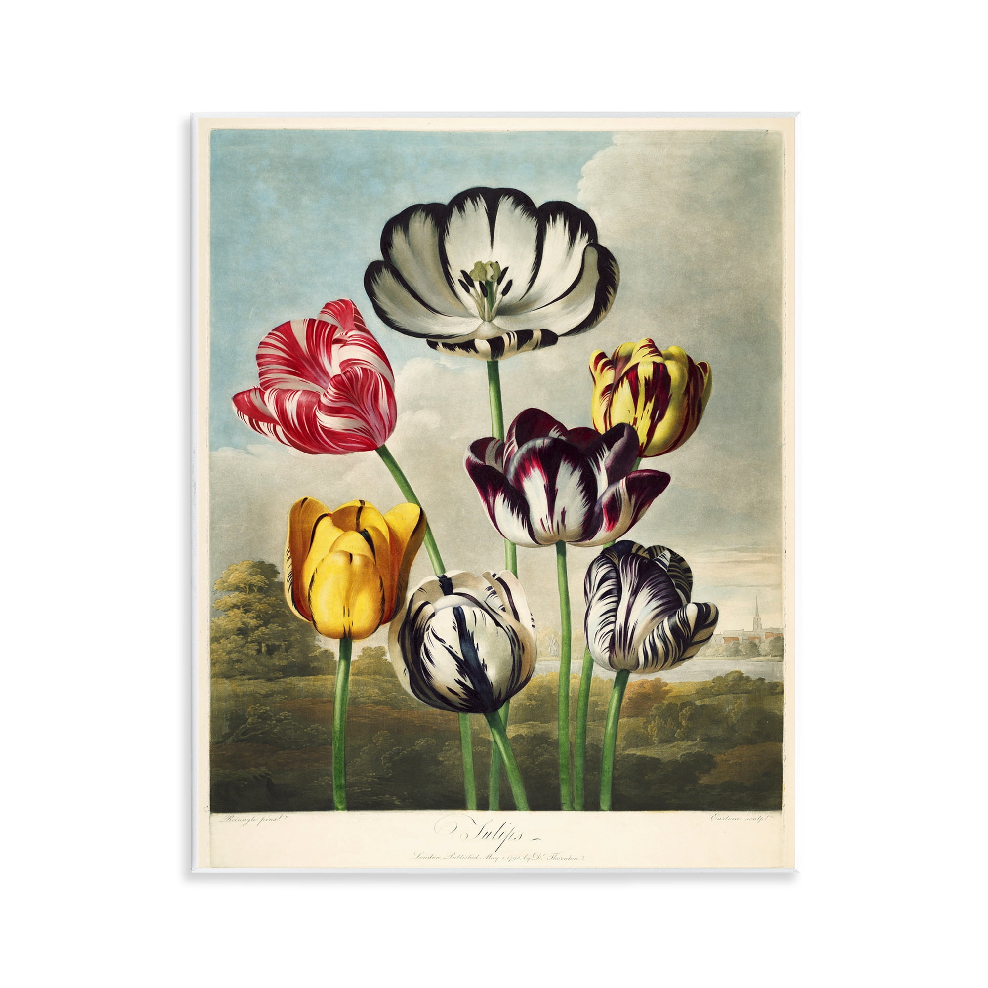 Stupell Industries Tulips From The Temple Wall Plaque Art, design by Print Collection