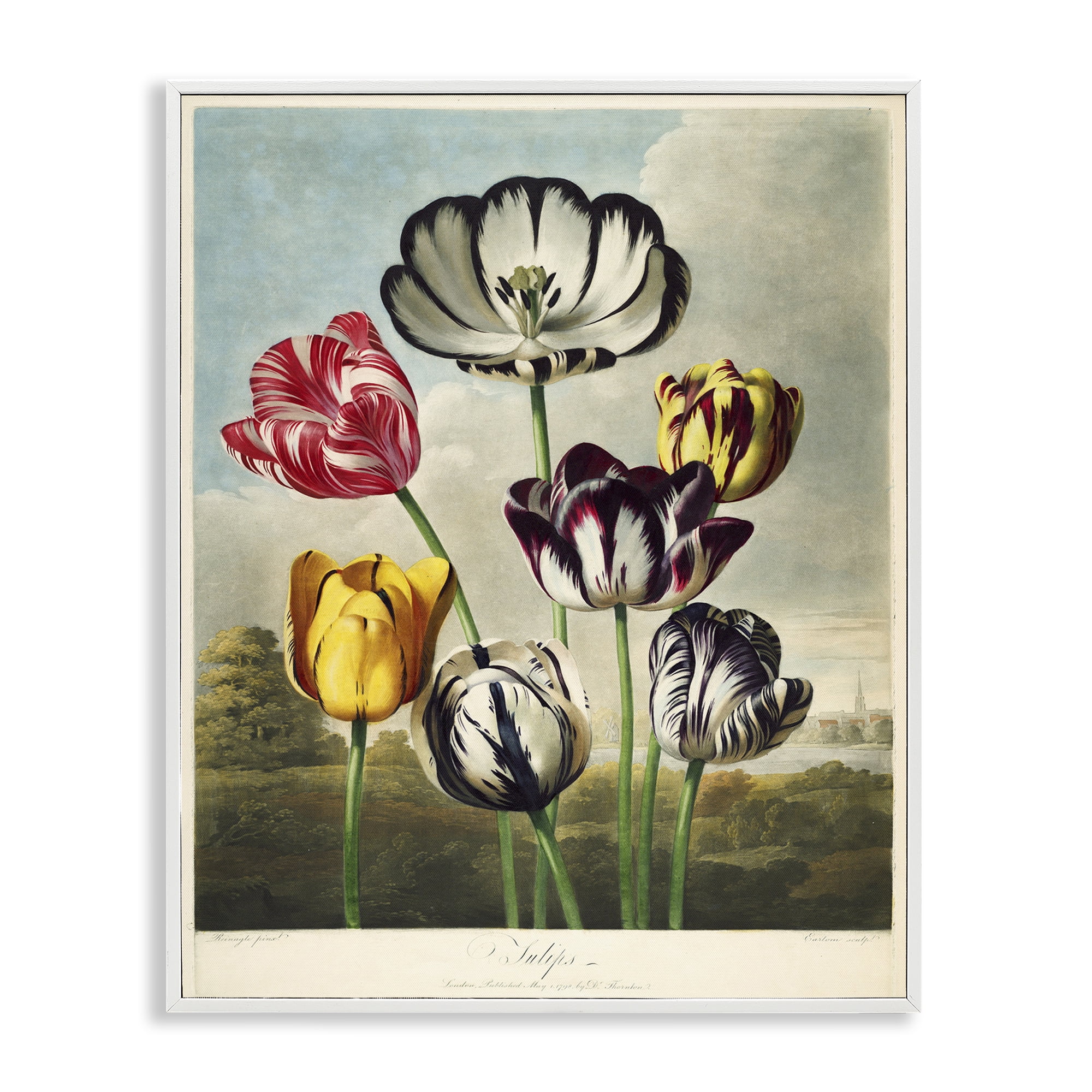 Stupell Industries Tulips From The Temple White Framed Giclee Art, design by Print Collection