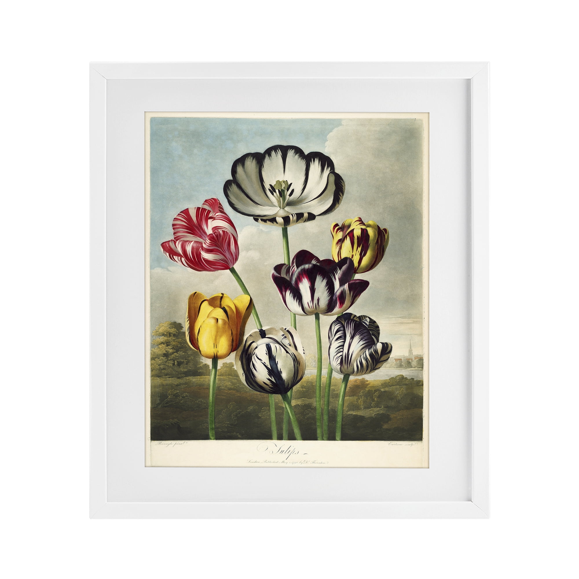 Stupell Industries Tulips From The Temple White Framed Print Under Glass, design by Print Collection