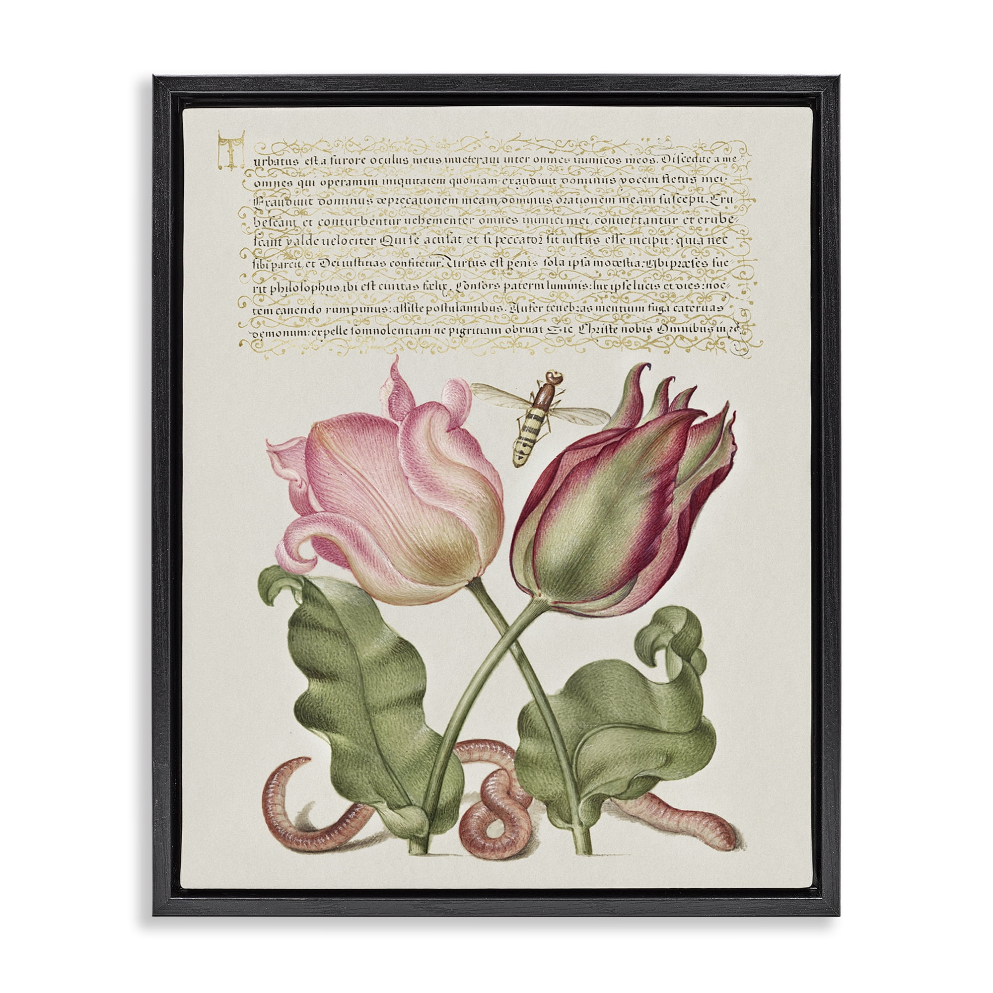 Stupell Industries Tulips & Insects Antique Text & Numbers Painting Black Floater Framed Canvas Art Print Wall Art, 25 x 31