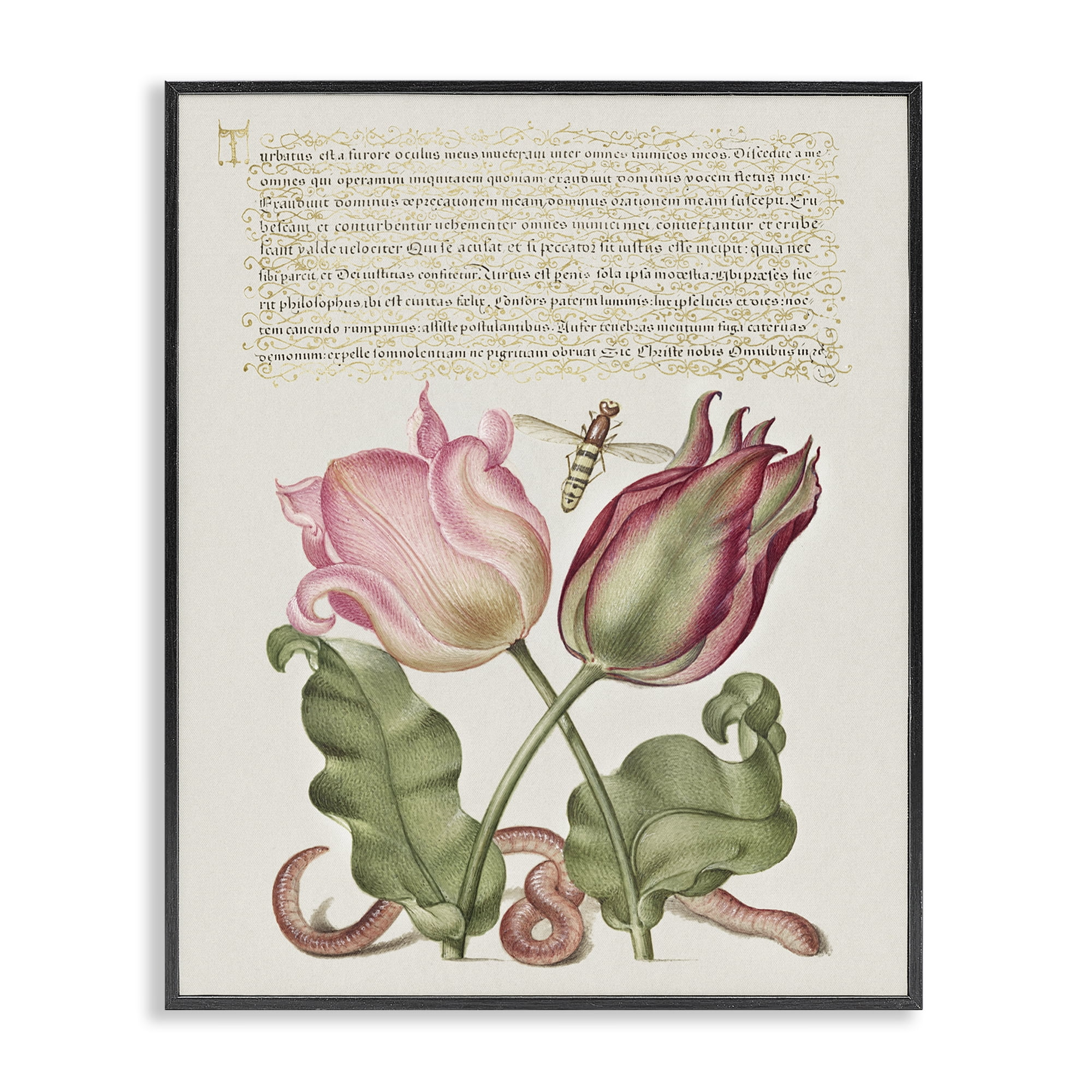 Stupell Industries Tulips & Insects Antique Text & Numbers Painting Black Framed Art Print Wall Art, 11 x 14