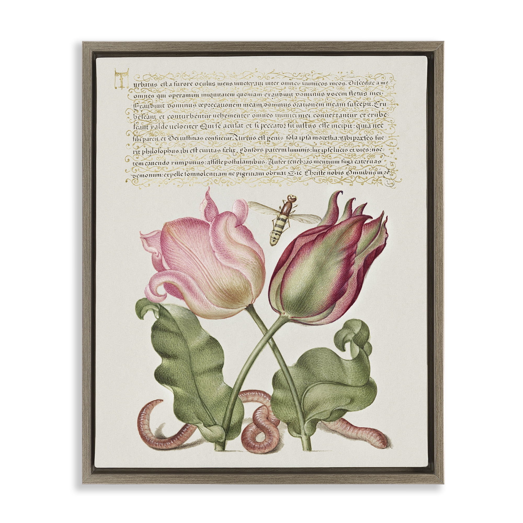 Stupell Industries Tulips & Insects Antique Text & Numbers Painting Brown Floater Framed Canvas Art Print Wall Art, 25 x 31