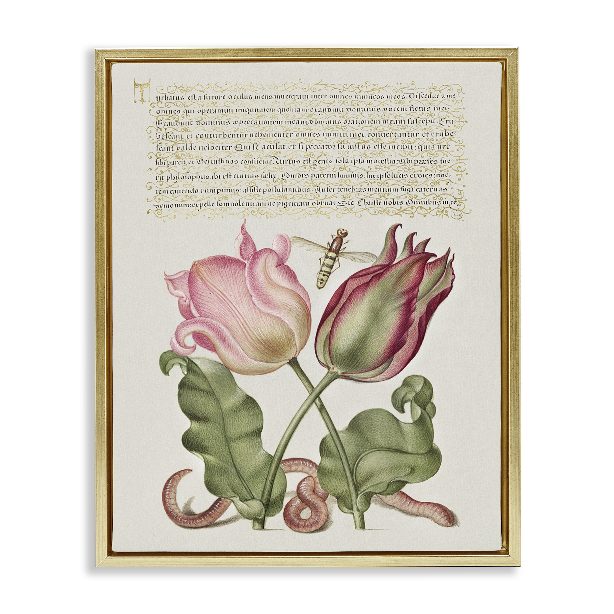 Stupell Industries Tulips & Insects Antique Text & Numbers Painting Gold Floater Framed Canvas Art Print Wall Art, 17 x 21