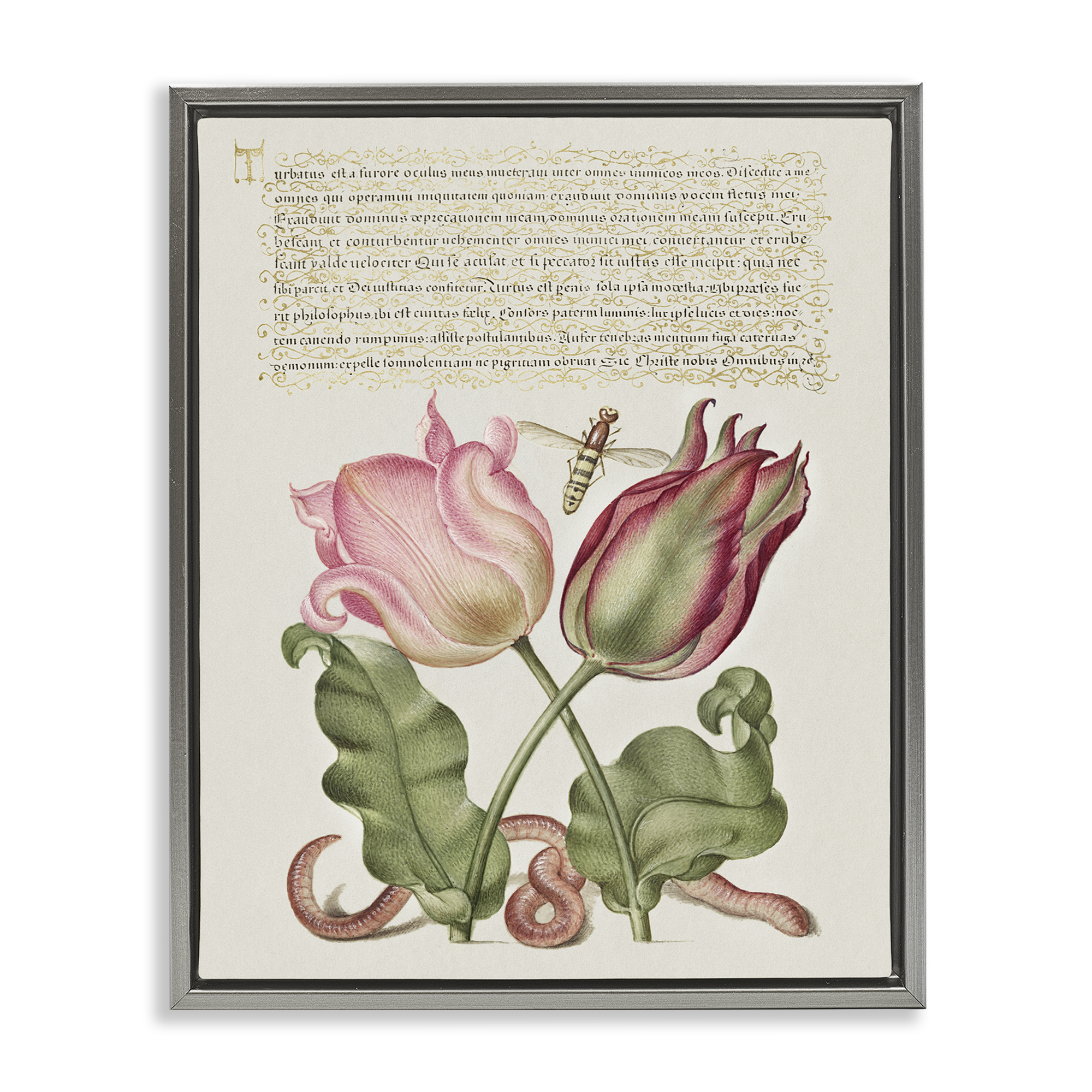 Stupell Industries Tulips & Insects Antique Text & Numbers Painting Gray Floater Framed Canvas Art Print Wall Art, 17 x 21