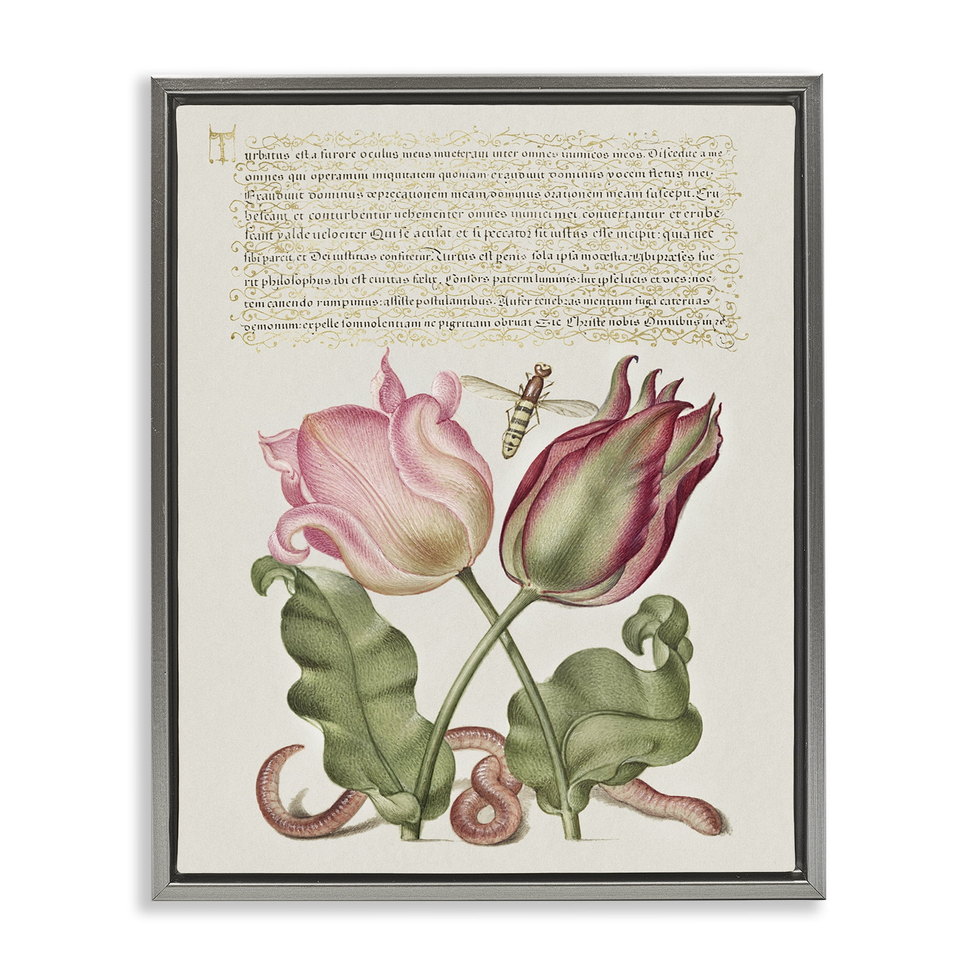 Stupell Industries Tulips & Insects Antique Text & Numbers Painting Gray Floater Framed Canvas Art Print Wall Art, 25 x 31
