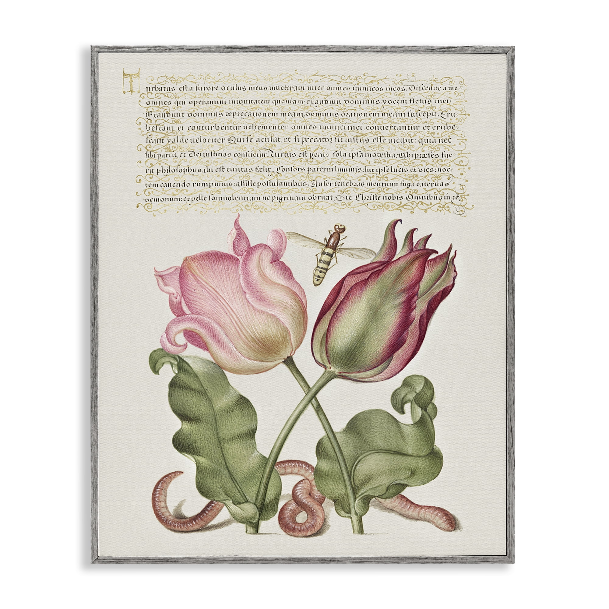 Stupell Industries Tulips & Insects Antique Text & Numbers Painting Gray Framed Art Print Wall Art, 24 x 30