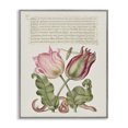 thumbnail image 1 of Stupell Industries French Country Tulips & Insects Antique Gray Framed Giclee Art, 24 x 30, by Melissa Wang, 1 of 8