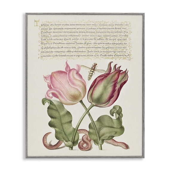 Stupell Industries French Country Tulips & Insects Antique Gray Framed Giclee Art, 24 x 30, by Melissa Wang
