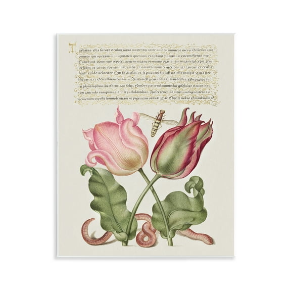 Stupell Industries Tulips & Insects Antique Text & Numbers Painting Unframed Art Print Wall Art, 11 x 14