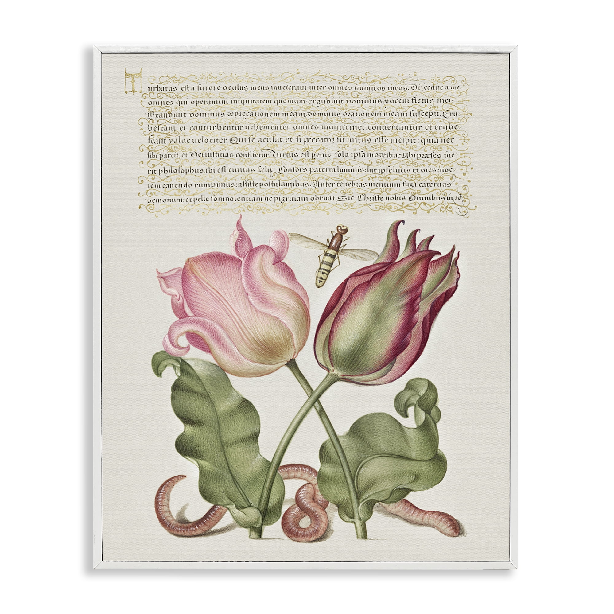 Stupell Industries Tulips & Insects Antique Text & Numbers Painting White Framed Art Print Wall Art, 11 x 14