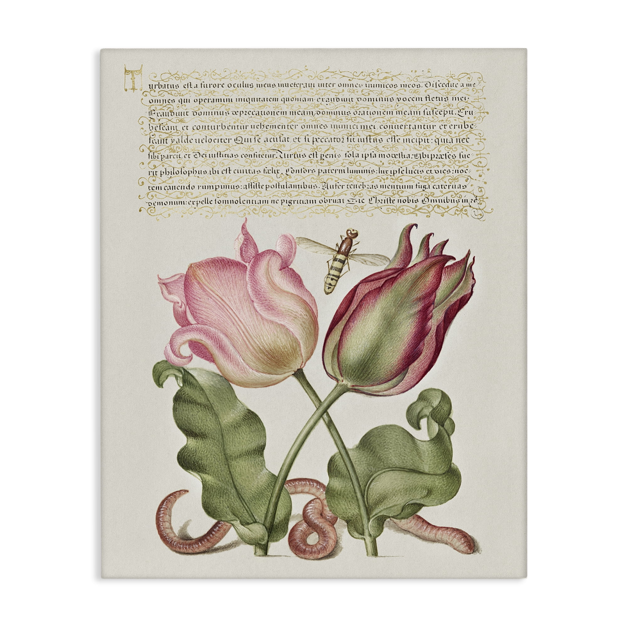 Stupell Industries Tulips & Insects Antique Text & Numbers Painting Wrapped Canvas Art Print Wall Art, 24 x 30