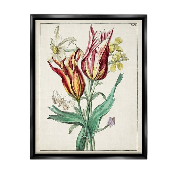 Stupell Industries Tulips & Moths Study Botanical & Floral Painting Black Floater Framed Canvas Art Print Wall Art, 17 x 21