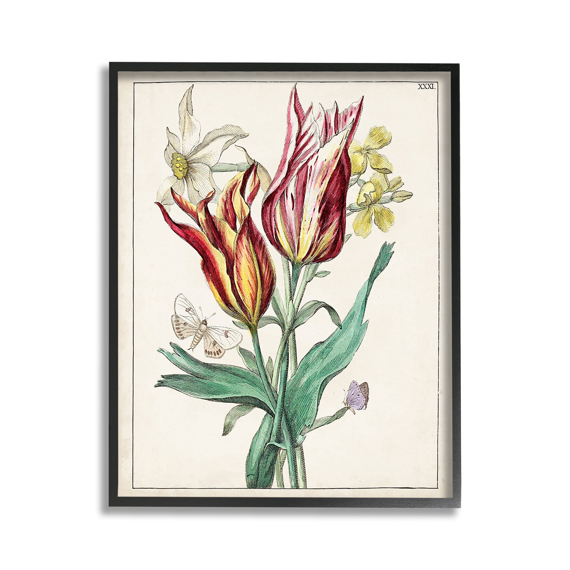 Stupell Industries Tulips & Moths Study Botanical & Floral Painting Black Framed Art Print Wall Art, 11 x 14