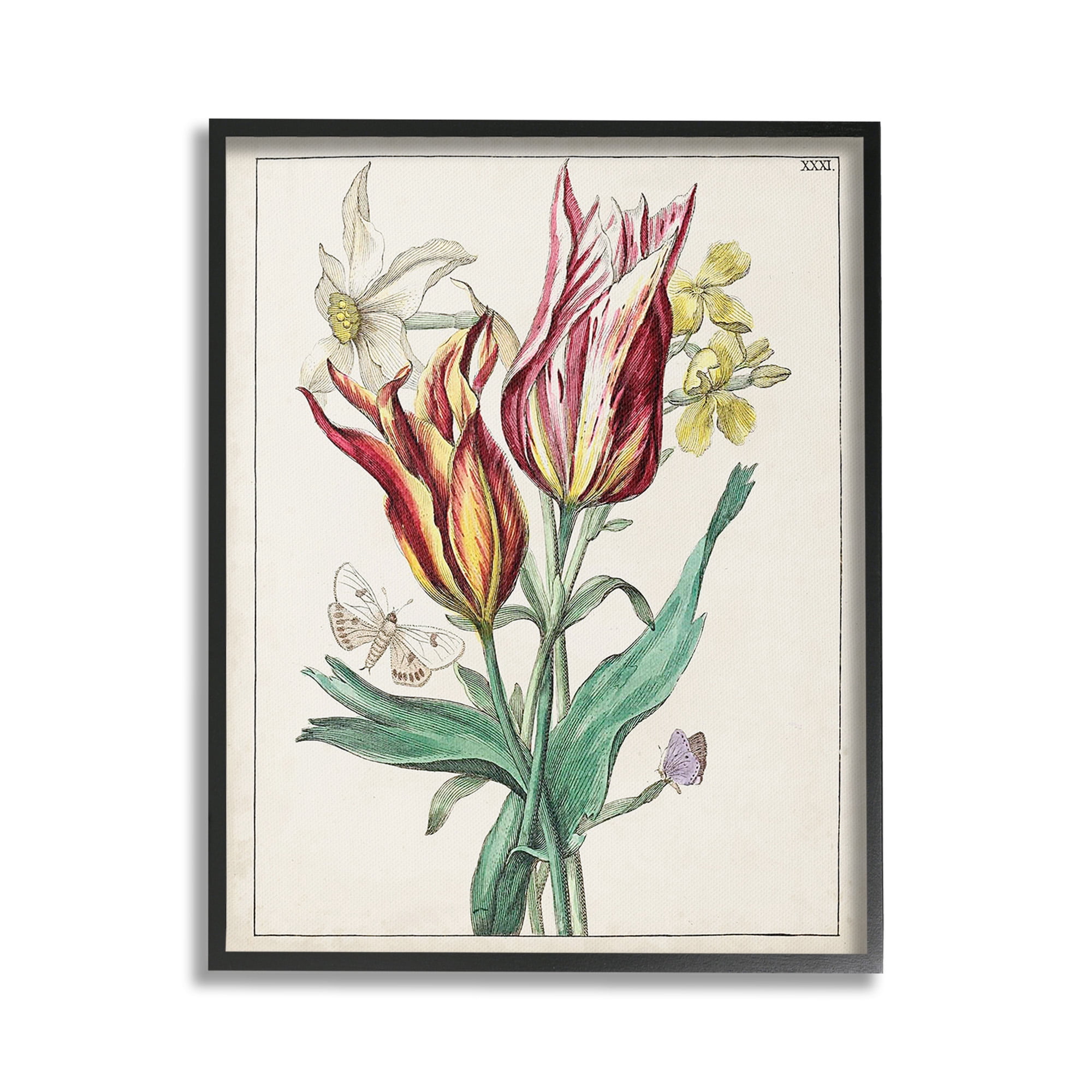 Stupell Industries Tulips & Moths Study Botanical & Floral Painting Black Framed Art Print Wall Art, 24 x 30