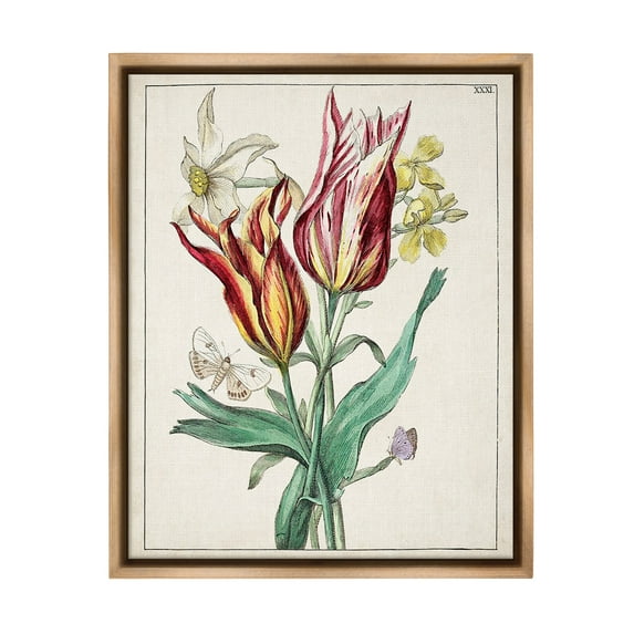 Stupell Industries Tulips & Moths Study Botanical & Floral Painting Brown Floater Framed Canvas Art Print Wall Art, 25 x 31