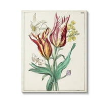Stupell Industries Tulips & Moths Study Botanical & Floral Painting Gallery Wrapped Canvas Art Print Wall Art, 16 x 20