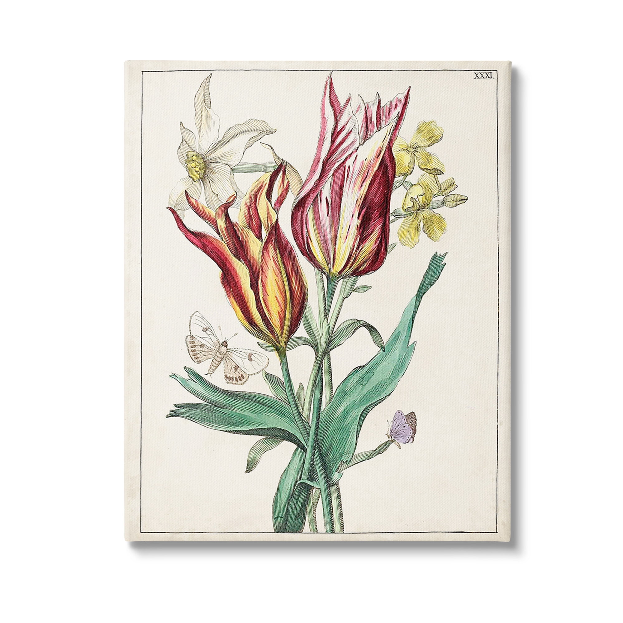 Stupell Industries Tulips & Moths Study Botanical & Floral Painting Gallery Wrapped Canvas Art Print Wall Art, 36 x 48
